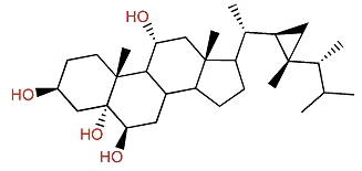 Gorgostan-3b,5a,6b,11a-tetraol